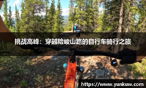 9球直播